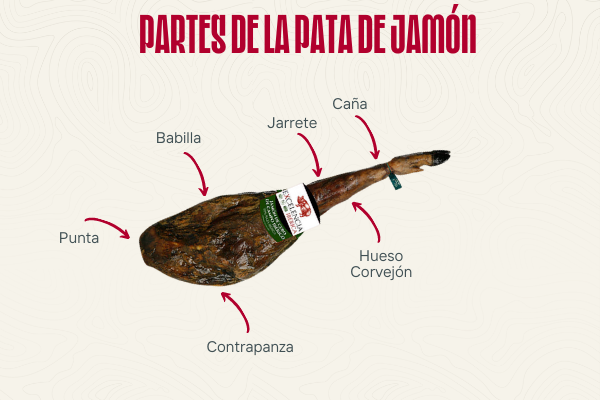 Cómo comenzar un jamón en casa